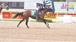 De regreso al Paddock de Ganadores: Conozca el tiempo que tenía sin ganar Arnaldo Chirinos en La Rinconada