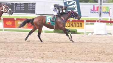 De regreso al Paddock de Ganadores: Conozca el tiempo que tenía sin ganar Arnaldo Chirinos en La Rinconada