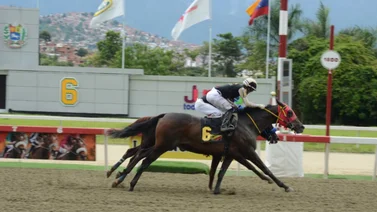 Comisarios del INH sancionan a entrenador de La Rinconada por este motivo