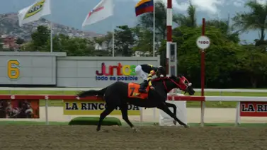 Este era el tiempo que tenía José Gilberto Hernández que no ganaba dos carreras en una reunión Este era el tiempo que tenía José Gilberto Hernández que no ganaba dos carreras en una reunión