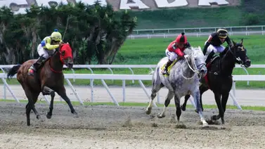 Así va la estadística de entrenadores en La Rinconada a tres fechas del cierre del meeting Así va la estadística de entrenadores en La Rinconada a tres fechas del cierre del meeting