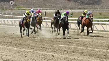 Venezolanos ganan siete de nueve carreras en este hipódromo en Estados Unidos Venezolanos ganan siete de nueve carreras en este hipódromo en Estados Unidos