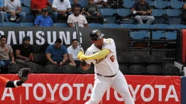 LVBP: Leones del Caracas reciben buenas noticias de pelotero que brilla en Japón (+Declaraciones)