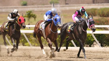 Ramón García Mosquera reaparece nieto de Tapit que tiene 140 días sin correr