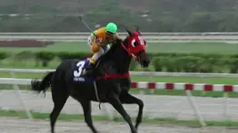 Debuta nieto de Águila Negra este domingo en La Rinconada en la reunión 31