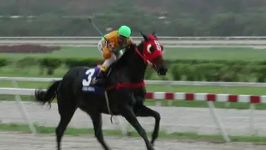 Debuta nieto de Águila Negra este domingo en La Rinconada en la reunión 31 Debuta nieto de Águila Negra este domingo en La Rinconada en la reunión 31