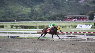 Pedigrí de lujo: Hija de Panzer Barcelona y medio hermana de ganador del Clásico del Caribe debuta en La Rinconada Pedigrí de lujo: Hija de Panzer Barcelona y medio hermana de ganador del Clásico del Caribe debuta en La Rinconada