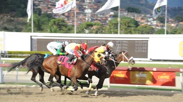 Otro nieto de Water Poet hará su debut este domingo en La Rinconada 