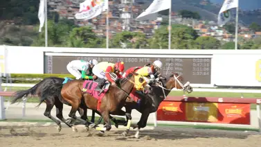 Otro nieto de Water Poet hará su debut este domingo en La Rinconada Otro nieto de Water Poet hará su debut este domingo en La Rinconada