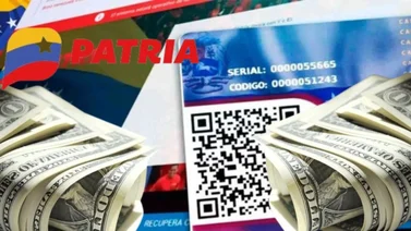 El Sistema Patria podría activar estos bonos en las próximas horas