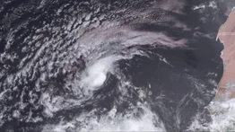 La tormenta tropical Erin se fortalece en el Atlántico: ¿Qué debe saber Florida?