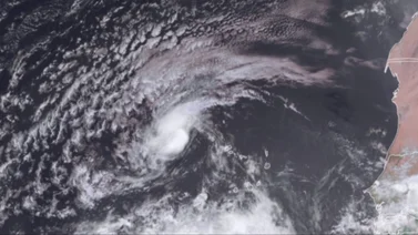 La tormenta tropical Erin se fortalece en el Atlántico: ¿Qué debe saber Florida?