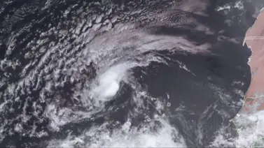 La tormenta tropical Erin se fortalece en el Atlántico: ¿Qué debe saber Florida? La tormenta tropical Erin se fortalece en el Atlántico: ¿Qué debe saber Florida?