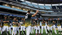 Leones del Caracas tendrían casi definida su fecha para el minicamp