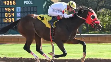 Keiber Jackson Coa logró triplete ganador en este hipódromo en Estados Unidos Keiber Jackson Coa logró triplete ganador en este hipódromo en Estados Unidos