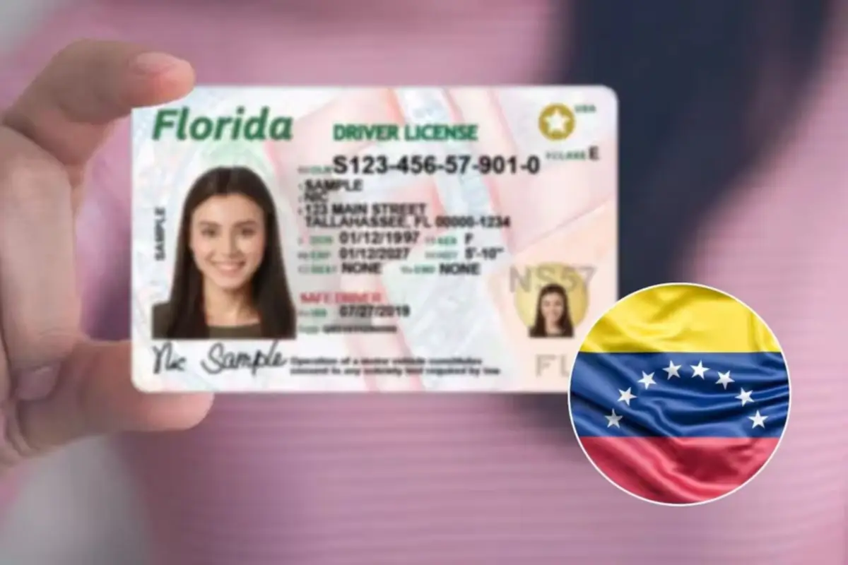 Licencia de conducir EEUU