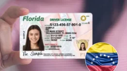 Licencia de conducir EEUU