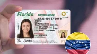 Licencia de conducir EEUU