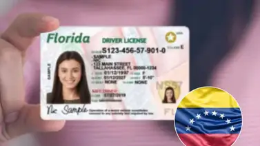Licencia de conducir EEUU Licencia de conducir EEUU