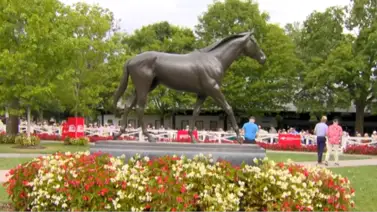 Sepa usted quienes son los nominados a los mejores criadores del año a los premios TOBA Sepa usted quienes son los nominados a los mejores criadores del año a los premios TOBA