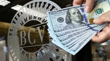 Este es el precio del dólar para este jueves 14 de agosto según Banco Central de Venezuela