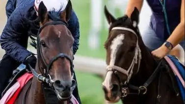 La Cara vs Good Cheer por la revancha este sábado en Saratoga (+Pronóstico) La Cara vs Good Cheer por la revancha este sábado en Saratoga (+Pronóstico)