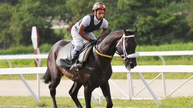 Yonkleiver Díaz dice que borren la última de este caballo que este domingo si va a pelear en el 5y6