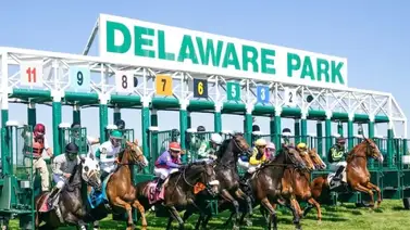 ¡Último minuto! Suspenden a propietario por ocultar su verdadera identidad ¡Último minuto! Suspenden a propietario por ocultar su verdadera identidad