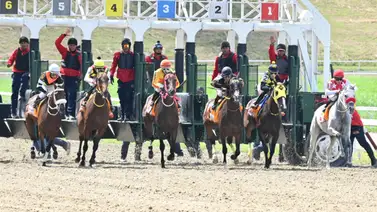 La jugada arriesgada: Descubre el audaz ajuste de la línea de Gaceta Hípica previo a su participación en el 5y6 de la R31 La jugada arriesgada: Descubre el audaz ajuste de la línea de Gaceta Hípica previo a su participación en el 5y6 de la R31