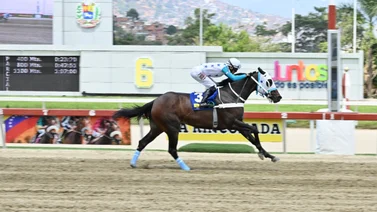 Esta es la yegua que hizo el mejor ajuste del miércoles y corre en las no válidas