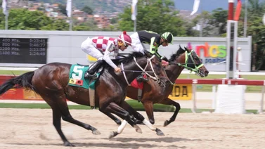 Hijo de Siete C queda listo para ganar en una del 5y6 con su ajuste del miércoles
