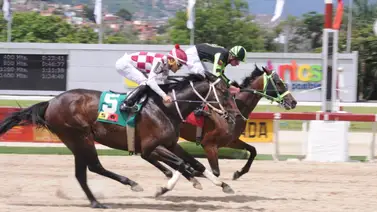 Hijo de Siete C queda listo para ganar en una del 5y6 con su ajuste del miércoles Hijo de Siete C queda listo para ganar en una del 5y6 con su ajuste del miércoles