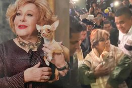 Perrita de Silvia Pinal llora al recordar a la actriz: mira el emotivo momento