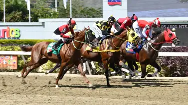 La clave que debes saber: Aquí te damos la información más "regada" para la carrera de los acumulados La clave que debes saber: Aquí te damos la información más "regada" para la carrera de los acumulados