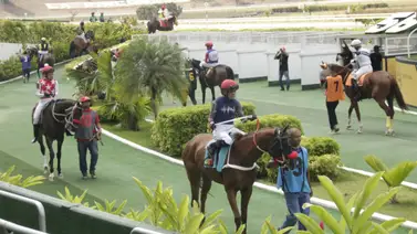 El "As bajo la manga": Descubre el ajuste de la gran opción de Gaceta Hípica para el 5y6 dominical El "As bajo la manga": Descubre el ajuste de la gran opción de Gaceta Hípica para el 5y6 dominical