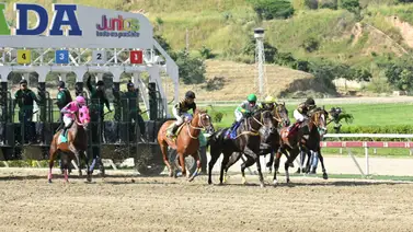 Te revelamos el “robo de toda Venezuela” que participa en la tercera válida para el 5y6 Te revelamos el “robo de toda Venezuela” que participa en la tercera válida para el 5y6