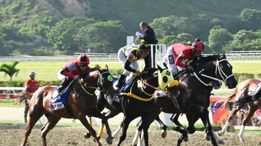 Favoritos de la cátedra para el 5y6 Nacional de la reunión N°31 en el hipódromo La Rinconada 