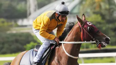 Conoce las opciones de las montas del jockey Larry Mejías Conoce las opciones de las montas del jockey Larry Mejías