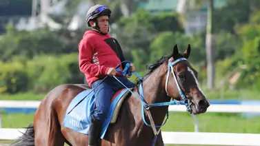A José Gilberto Hernández le gusta esta yegua por su forma de correr A José Gilberto Hernández le gusta esta yegua por su forma de correr