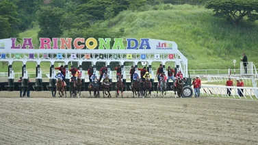 Datos de Última Hora para el Hipódromo La Rinconada 17-8-2025