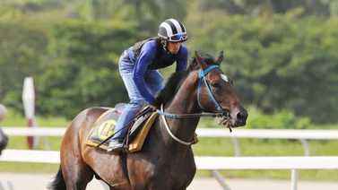 Por el Batacazo: Jockey aprendiz confiado de tumbar los cuadros con sus montas este domingo