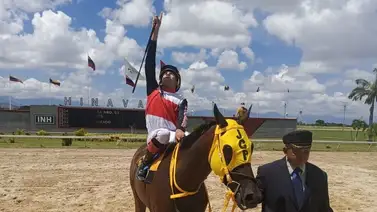 Amor Amor se lleva el Clásico Ciudad de Valencia este sábado Amor Amor se lleva el Clásico Ciudad de Valencia este sábado