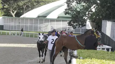 Estos son los retirados de la Reunión N°31 en La Rinconada 17-8-2025 Estos son los retirados de la Reunión N°31 en La Rinconada 17-8-2025