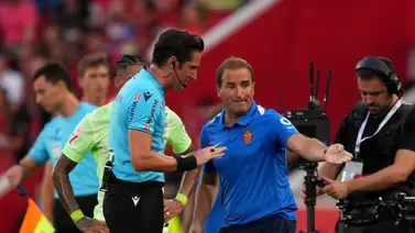DT de Mallorca incrédulo ante polémico gol de Ferrán Torres (+ Video) DT de Mallorca incrédulo ante polémico gol de Ferrán Torres (+ Video)