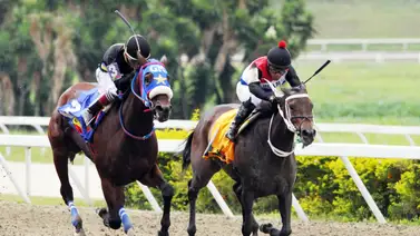 Asi quedaron los resultados de las carreras en La Rinconada 17-8-2025 Asi quedaron los resultados de las carreras en La Rinconada 17-8-2025