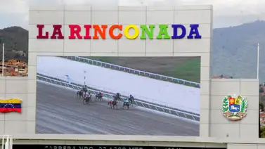 Suspenden dos entrenadores en La Rinconada por el uso de sustancias en purasangres Suspenden dos entrenadores en La Rinconada por el uso de sustancias en purasangres