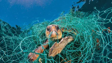 oceano contaminado