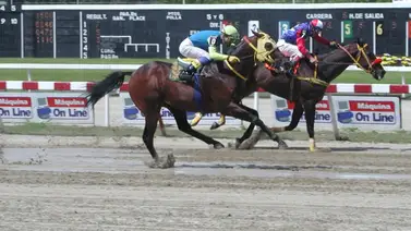 Conoce a los máximos ganadores en la historia del Clásico Invitacional del Caribe G1 Conoce a los máximos ganadores en la historia del Clásico Invitacional del Caribe G1