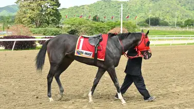 Por este motivo Eterna Amanda no es la triple coronada número 16 Por este motivo Eterna Amanda no es la triple coronada número 16