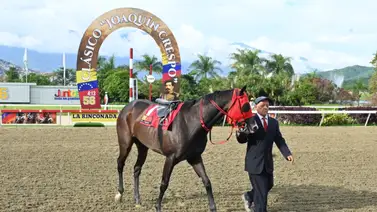 Por esta razón Fast Sensations todavía no ha alcanzado a Gelinotte Por esta razón Fast Sensations todavía no ha alcanzado a Gelinotte